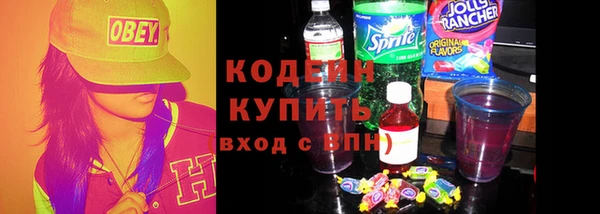 индика Новодвинск