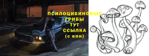 винт Нея