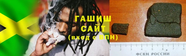 гашик Новозыбков