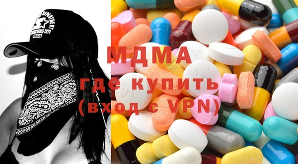 индика Новодвинск