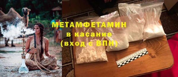 индика Новодвинск