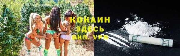 PSILOCYBIN Наволоки