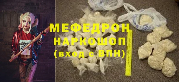 индика Новодвинск