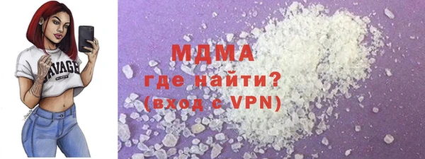 индика Новодвинск