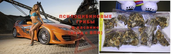 винт Нея