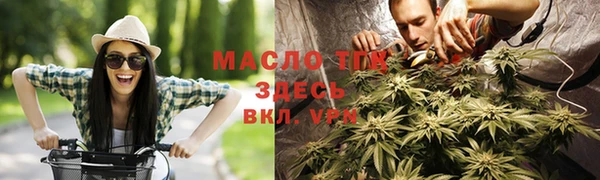 гашик Новозыбков