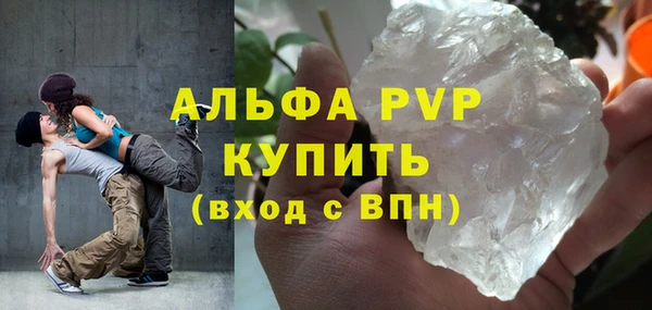 гашик Новозыбков